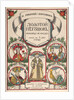 Cover of the score of the opera The Golden Cockerel by N. Rimsky-Korsakov, 1908 by Anonymous