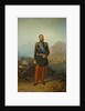 Portrait of Prince Alexander Ivanovich Baryatinsky, 1860s-1870s by Anonymous