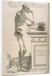 Illustration from De humani corporis fabrica by Andreas Vesalius, ca 1543 by Anonymous