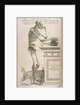 Illustration from De humani corporis fabrica by Andreas Vesalius, ca 1543 by Anonymous