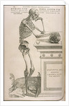 Illustration from De humani corporis fabrica by Andreas Vesalius, ca 1543 by Anonymous