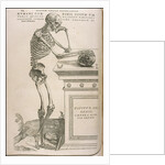 Illustration from De humani corporis fabrica by Andreas Vesalius, ca 1543 by Anonymous