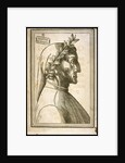 Dante Alighieri, ca 1529 by Anonymous
