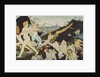 The Dawn of Labor (LAurore du travail), ca 1891 by Anonymous