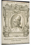 Antonio Pollaiuolo, ca 1568 by Anonymous