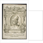 Antonio Pollaiuolo, ca 1568 by Anonymous