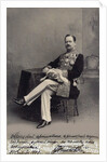 Portrait of Vladimir Arkadievich Telyakovsky, 1903 by Anonymous
