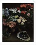 Flowers, 1866 by Anonymous