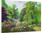 Kew Gardens, Rhododendron Dell, 1892 by Anonymous