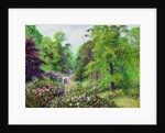 Kew Gardens, Rhododendron Dell, 1892 by Anonymous