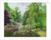 Kew Gardens, Rhododendron Dell, 1892 by Anonymous