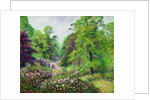 Kew Gardens, Rhododendron Dell, 1892 by Anonymous