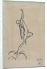 Mercury, c. 1880 by Anonymous