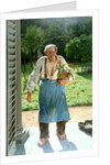 Le Vieux Jardinier (The Old Gardener), 1885 by Anonymous