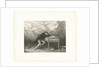 Beethoven, 1863 by Anonymous