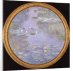 Nymphéas, harmonie bleue, 1908 by Anonymous