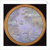 Nymphéas, harmonie bleue, 1908 by Anonymous