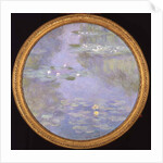 Nymphéas, harmonie bleue, 1908 by Anonymous