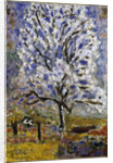 Lamandier en fleurs (The Almond Tree in Blossom), 1947 by Pierre Bonnard