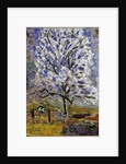 Lamandier en fleurs (The Almond Tree in Blossom), 1947 by Pierre Bonnard