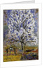 Lamandier en fleurs (The Almond Tree in Blossom), 1947 by Pierre Bonnard