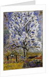 Lamandier en fleurs (The Almond Tree in Blossom), 1947 by Pierre Bonnard