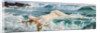 Aphrodite, ca 1893 by Anonymous
