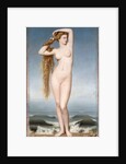 The Birth of Venus, 1862 by Anonymous