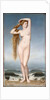 The Birth of Venus, 1862 by Anonymous
