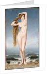 The Birth of Venus, 1862 by Anonymous