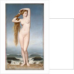 The Birth of Venus, 1862 by Anonymous