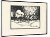 The Trench (La Tranchée), 1915-1916 by Anonymous