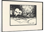 The Trench (La Tranchée), 1915-1916 by Anonymous