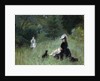Dans le parc, c. 1874 by Anonymous