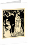 The Stranger (LÉtranger), 1894 by Anonymous