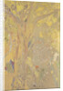 Arbre sur fond jaune. Décor pour le château de Domecy, 1901 by Anonymous