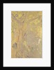 Arbre sur fond jaune. Décor pour le château de Domecy, 1901 by Anonymous