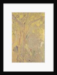 Arbre sur fond jaune. Décor pour le château de Domecy, 1901 by Anonymous