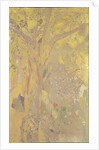 Arbre sur fond jaune. Décor pour le château de Domecy, 1901 by Anonymous