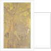Arbre sur fond jaune. Décor pour le château de Domecy, 1901 by Anonymous