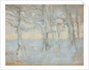 Trees, 1895 by Anonymous