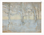 Trees, 1895 by Anonymous