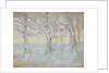Trees, 1895 by Anonymous