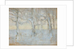 Trees, 1895 by Anonymous