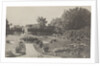 The Glebovo estate of Konstantin Shilovsky, Early 1890s by Anonymous