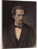 Portrait of the pianist and composer Nikolay Rubinstein, 1870s by Anonymous