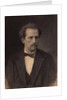 Portrait of the pianist and composer Nikolay Rubinstein, 1870s by Anonymous
