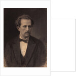 Portrait of the pianist and composer Nikolay Rubinstein, 1870s by Anonymous