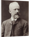 Portrait of the composer Pyotr Ilyich Tchaikovsky, 1887 by Anonymous