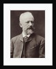 Portrait of the composer Pyotr Ilyich Tchaikovsky, 1887 by Anonymous